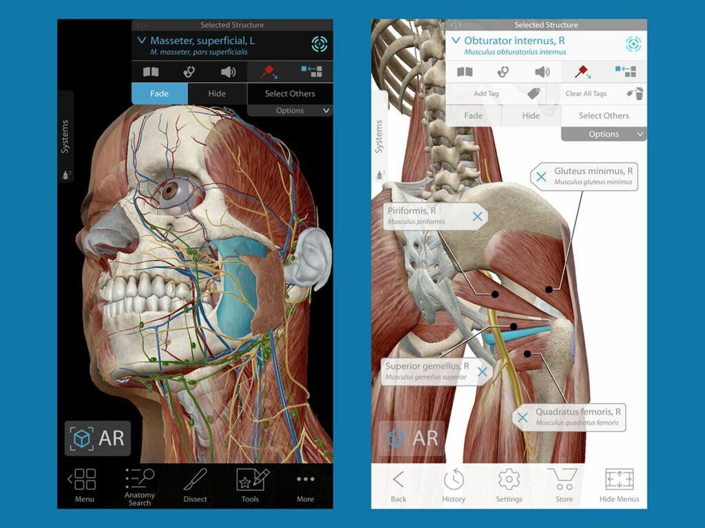 learning about the human body with augmented reality