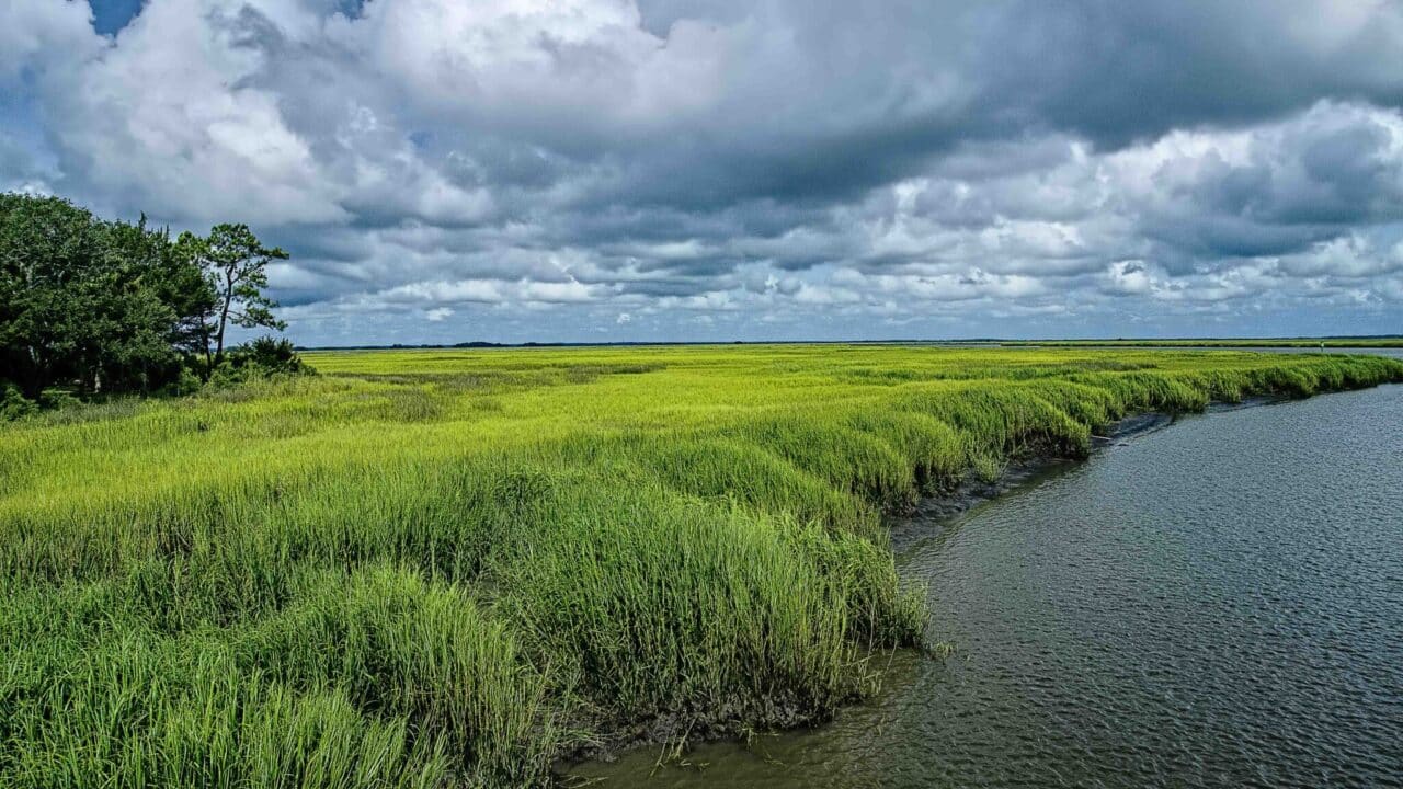 Little St. Simons Island, Georgia