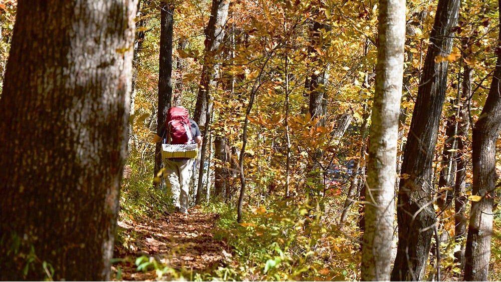 Hiker on the Appalachian Trail, Georgia