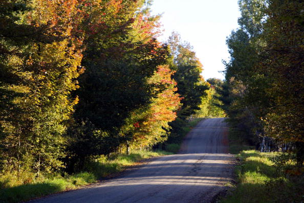 Fall colors show on trees along a countr