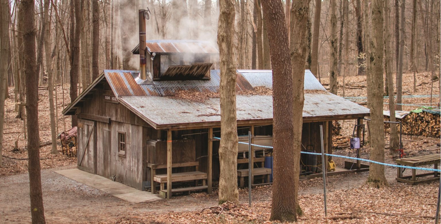 – 202403maple story sugar shack smaller iyd39Shutterstock