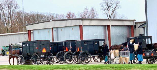 Amish shoppersfill buggies with groceries purchased in Shipshewana, Indiana. (Mary Bergin)