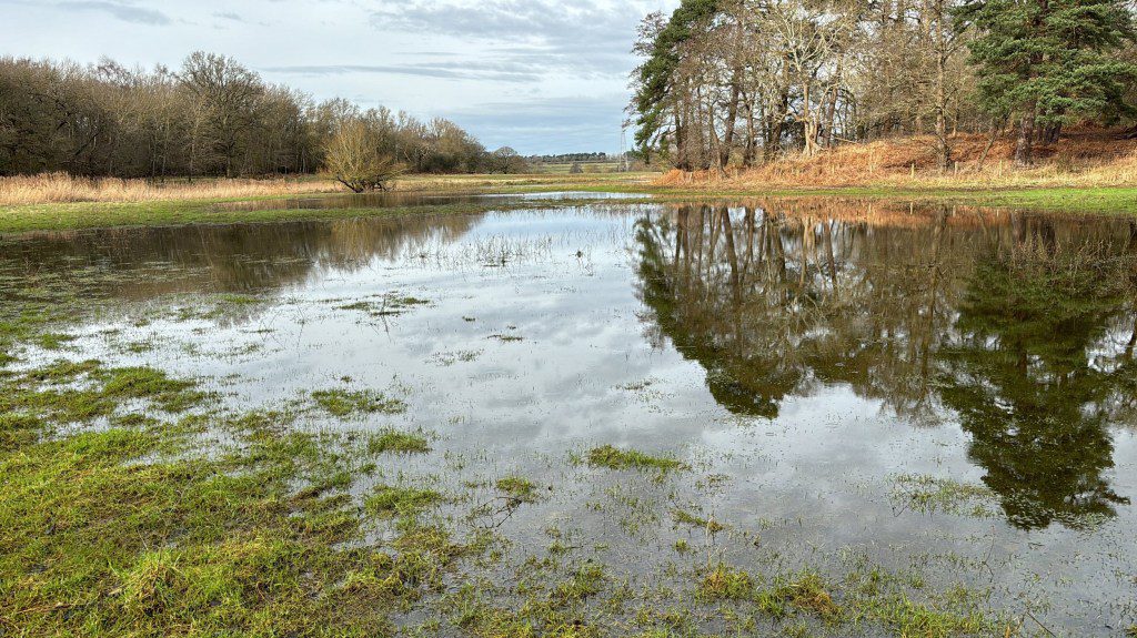 Undated handout photo of the Euston Estate in Suffolk which has been badly affected by the rain taken by farmer Andrew Blenkiron. 