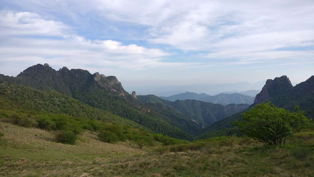 qinling mountains