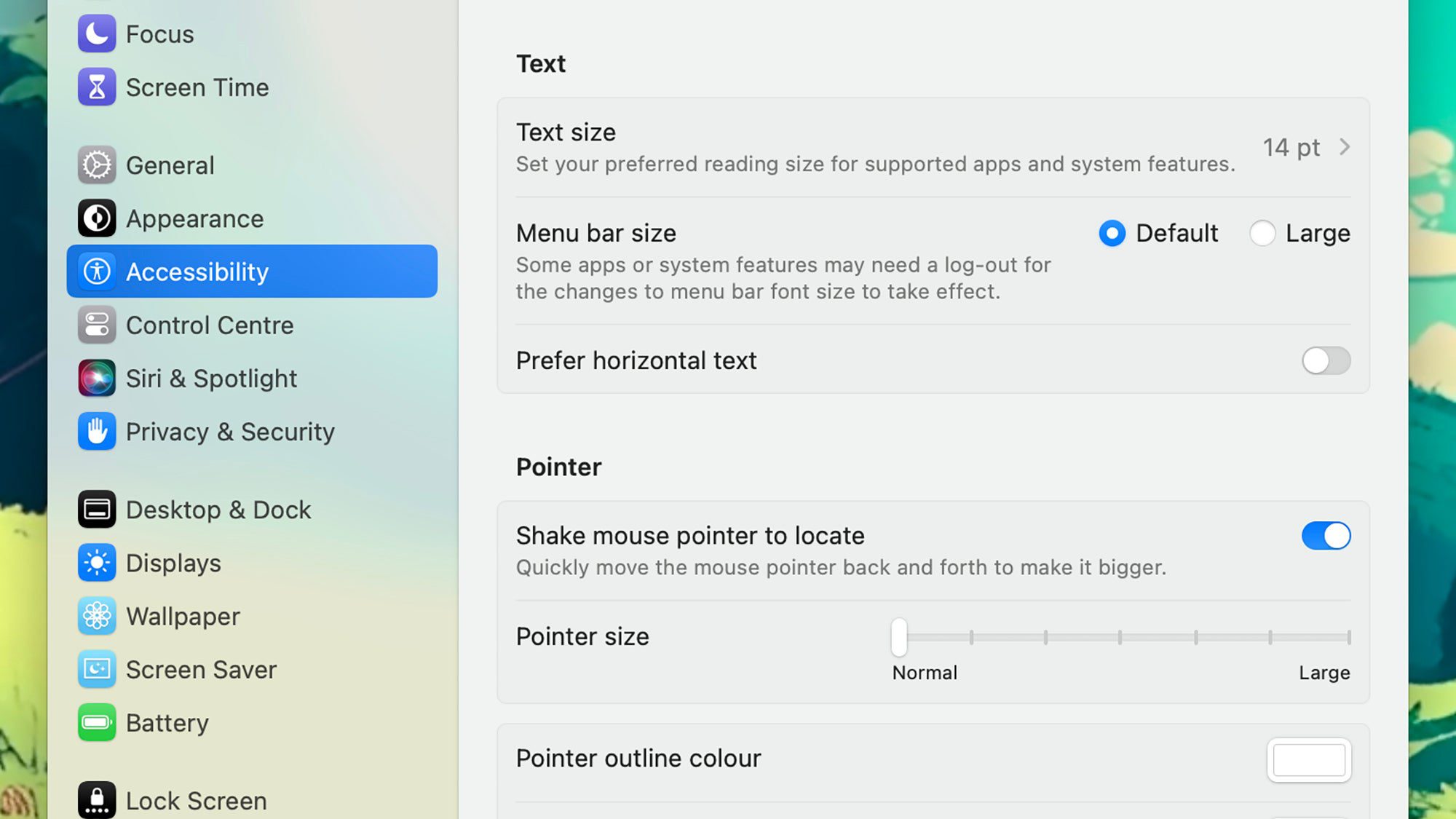 screenshot of mac laptop's text options page showing the options for text size 