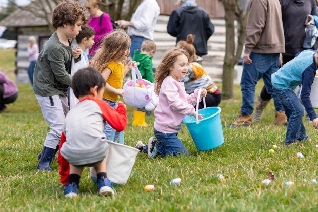 Children enjoy an egg hunt at Easter on the Farm, a celebration of Pennsylvania German Easter traditions taking place Saturday at the Pennsylvania German Cultural Heritage Center at Kutztown University. (Courtesy of PGCHC)