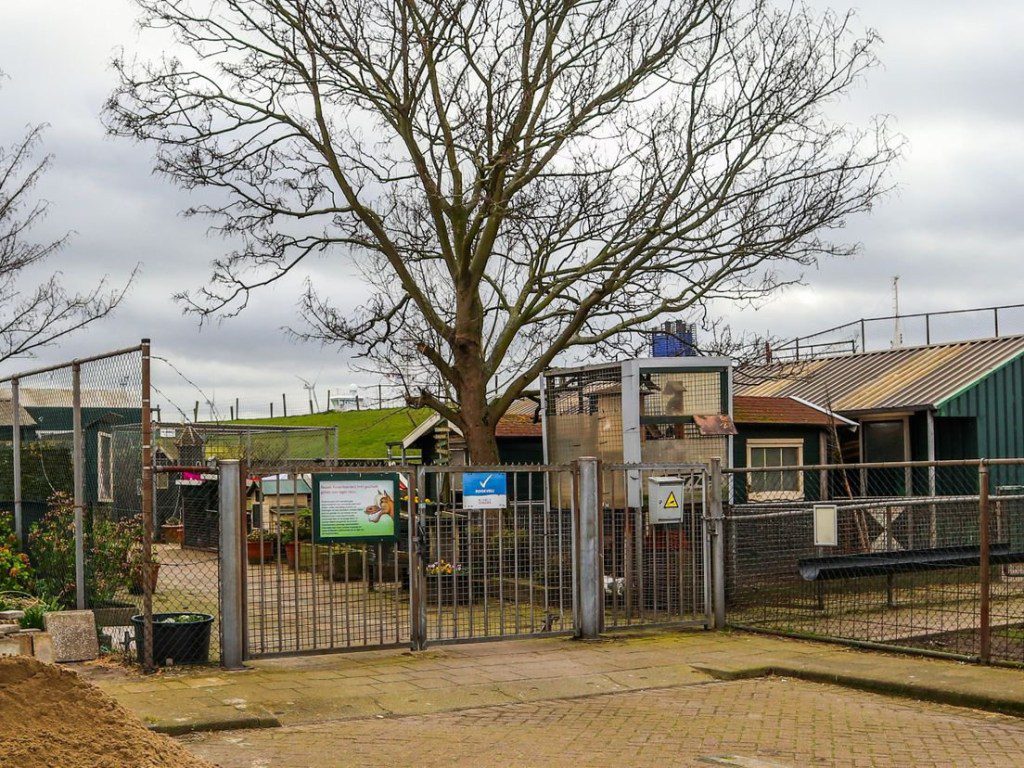 Child kills rabbits and guinea pigs at petting zoo