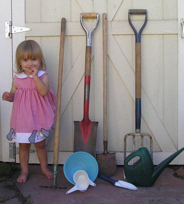 The list of gardening tools to clean each season includes shovels, rakes, pitchforks, plant trellises, cages, stakes, accessories and containers. (Betty Cahill, Special to The Denver Post)