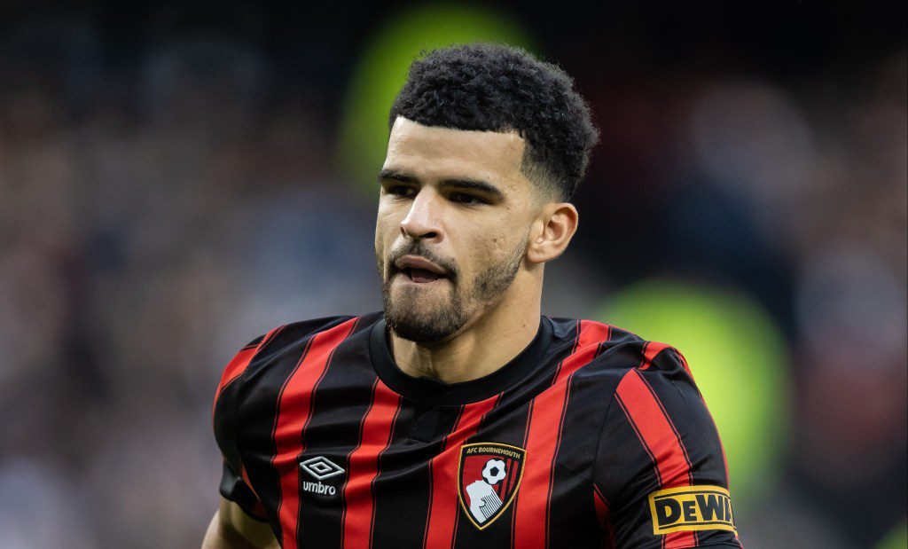 Bournemouth striker Dominic Solanke