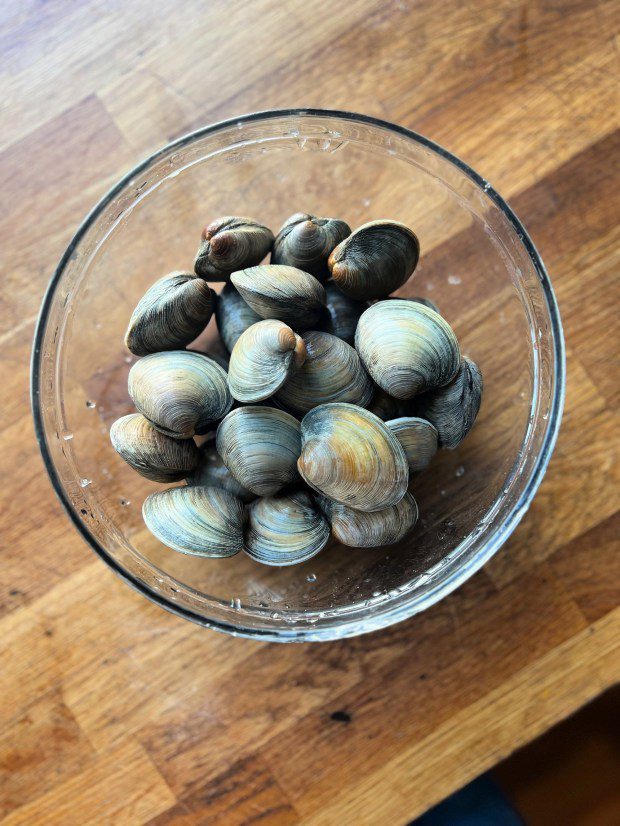 A bowl of clams