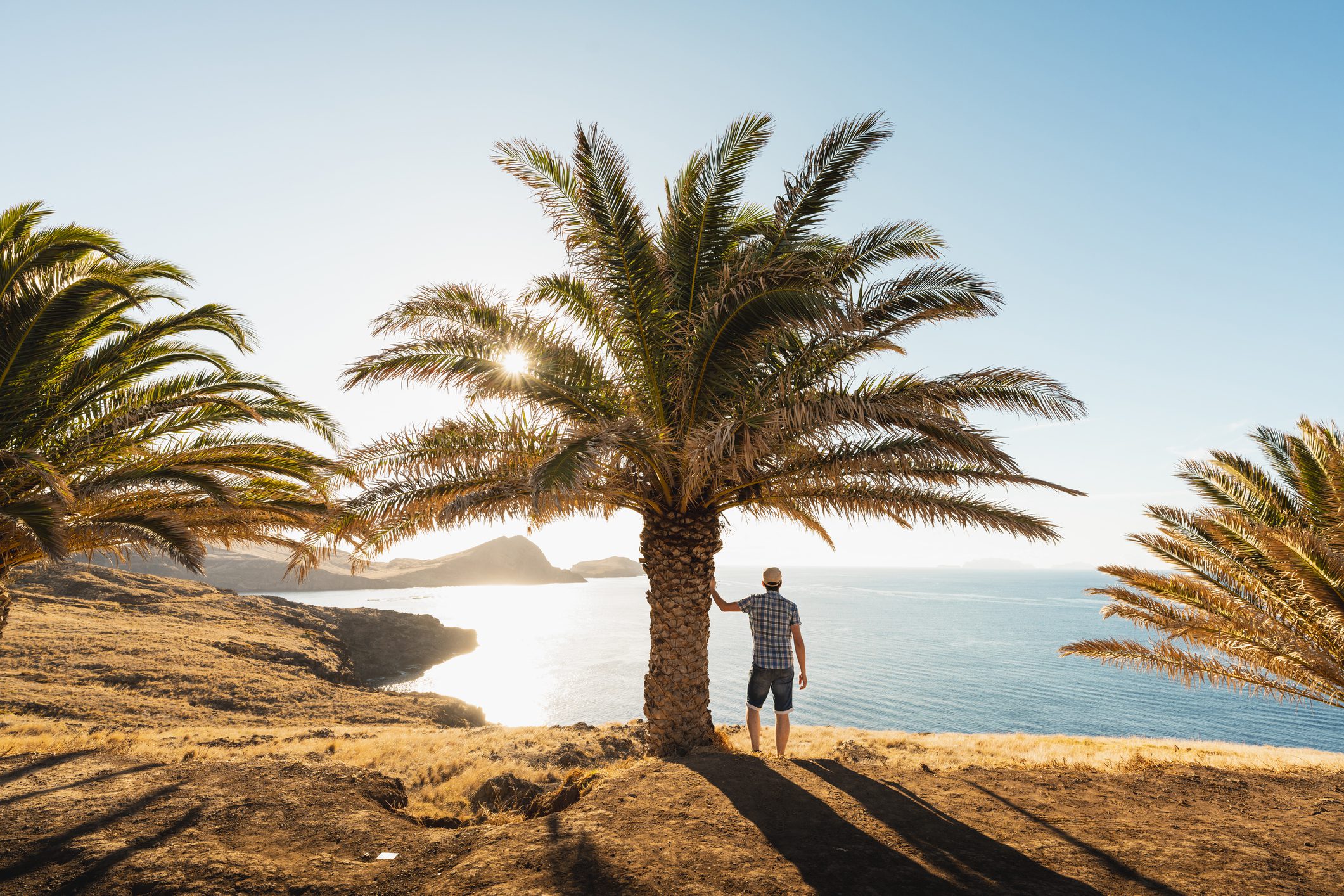 A man under a palm tree in MAderia