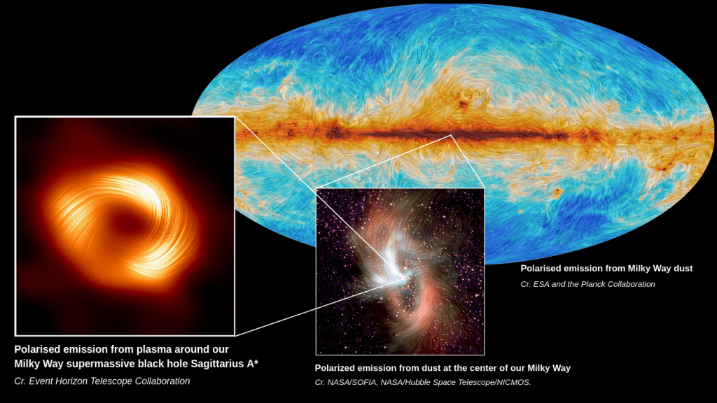 Polarised patterns in dust and light