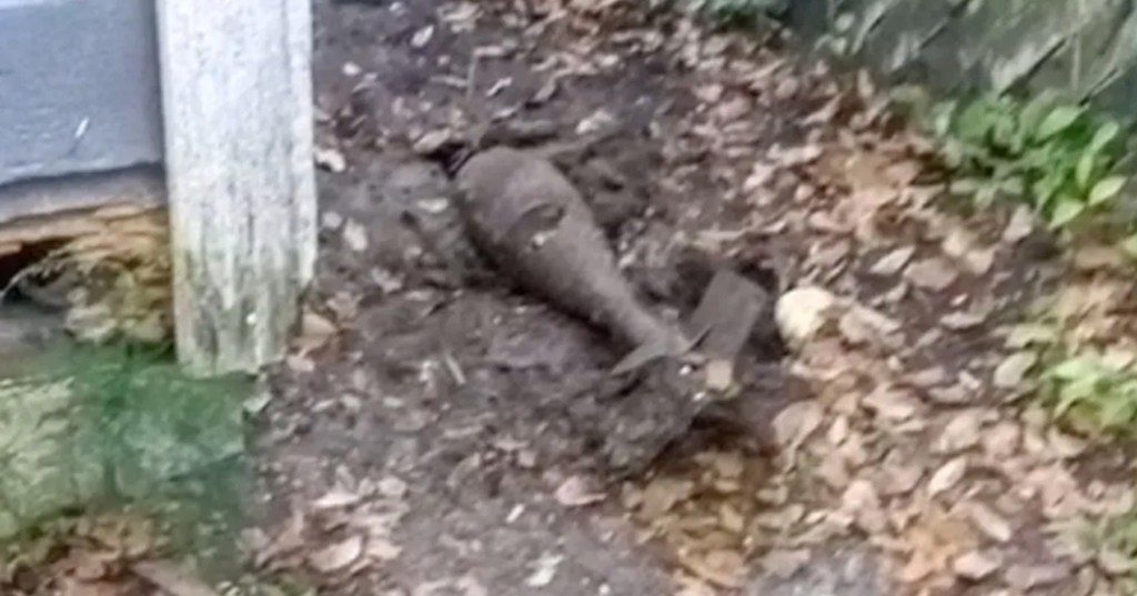 The antique military bomb was discovered by a dog digging near the fence line of a backyard in Jacksonville, Florida 