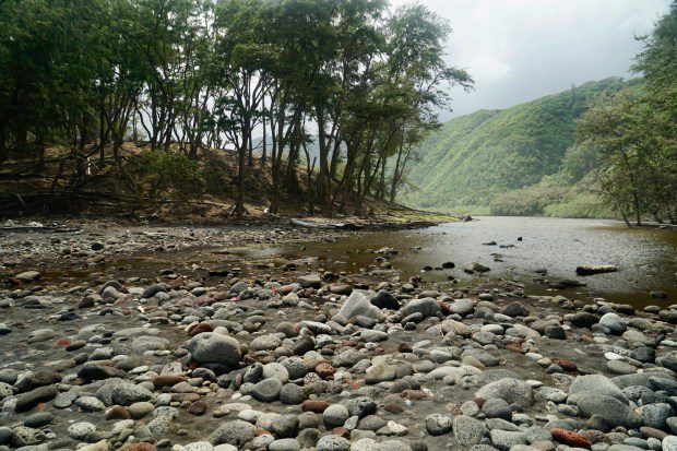 The trail down to the rocky beach of the Pololu Valley is about a half mile down. It feels much longer on the way back up. (Courtesy Alice Bourget)