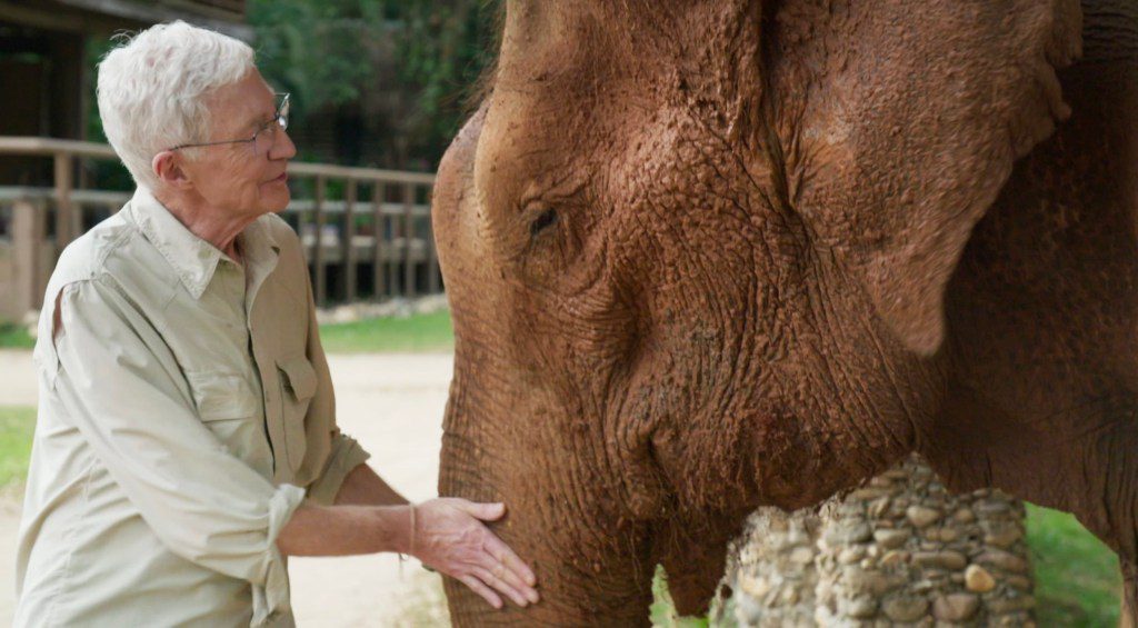 Paul O'Grady's Great Elephant Adventure