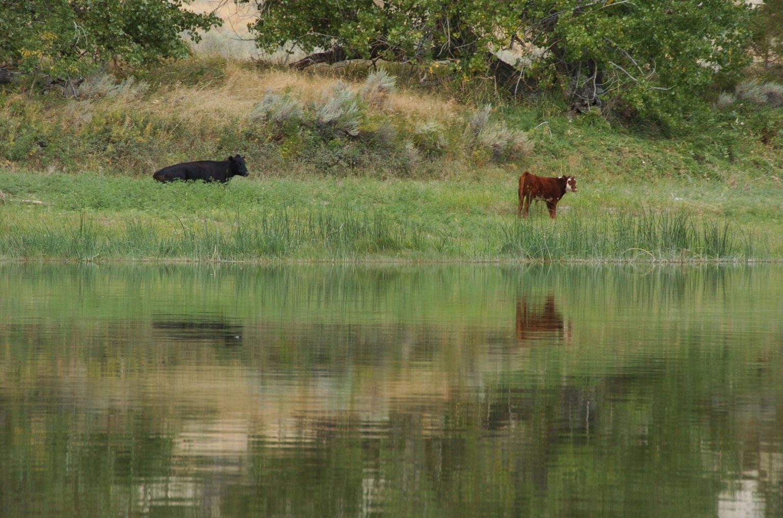 – 202404Biden Public Lands 71102