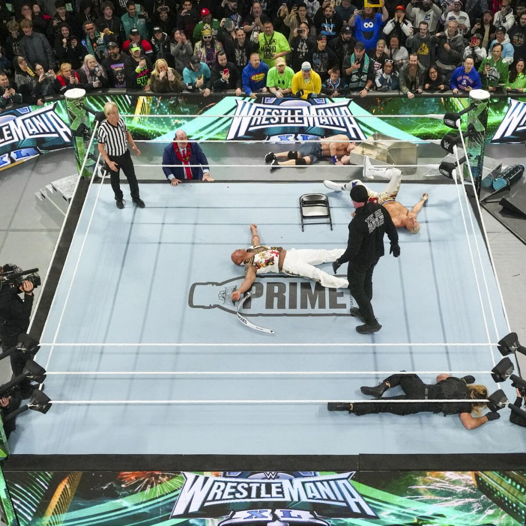 – 202404WWE WrestleMania ring e101