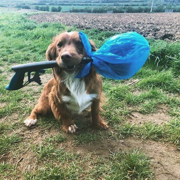 Spaniel with HandiScoop