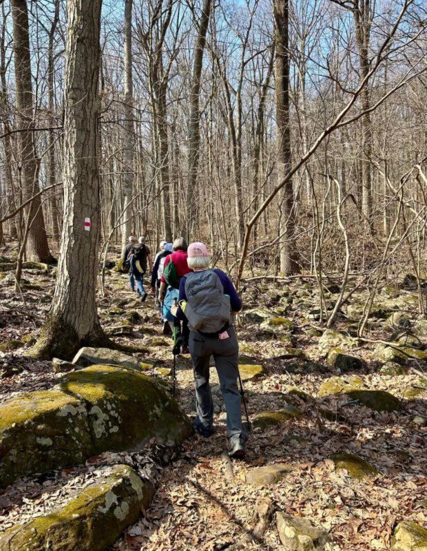 A Terrible Tues hike at Blue Marsh National Recreation Area. (Courtesy of Nancy Sellers)