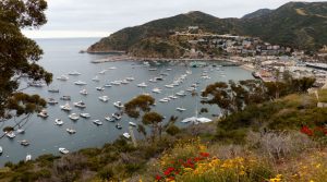 – 202104ca catalina 042721getty