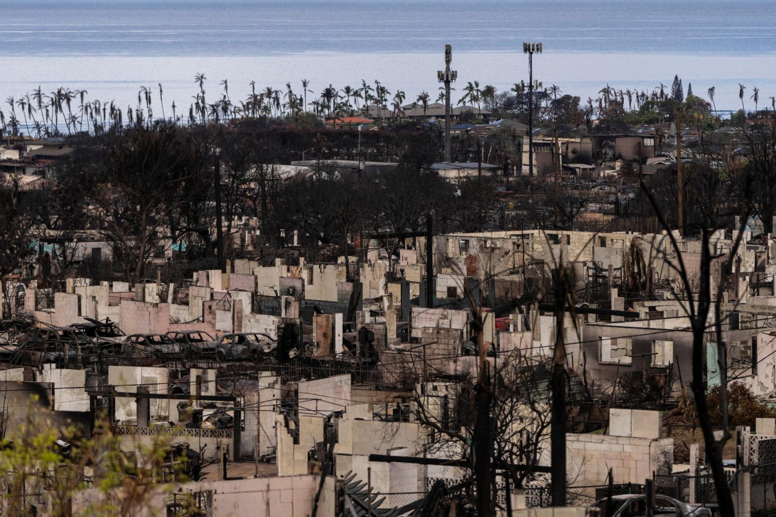 – 202405Hawaii Wildfires Cellphones 46146