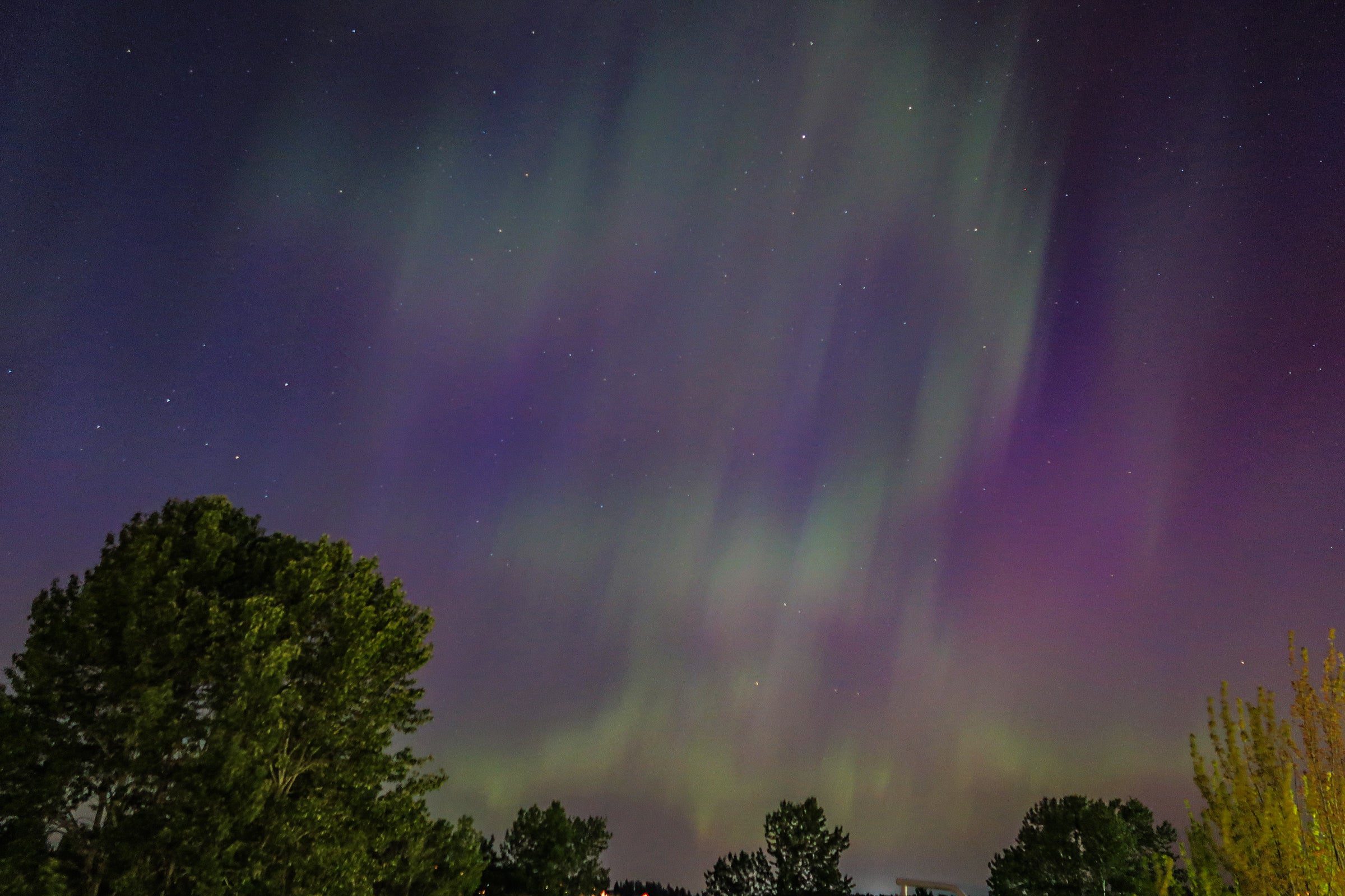 green and purple aurora